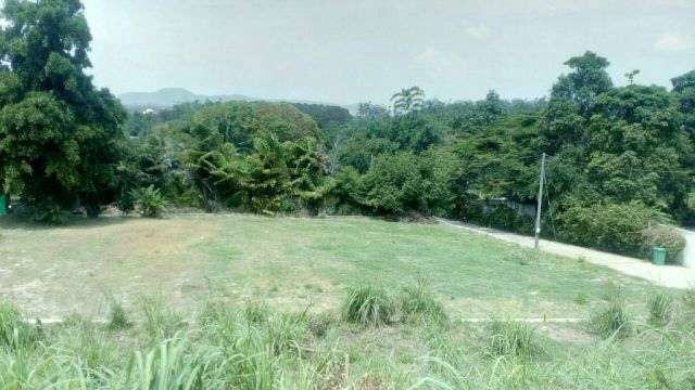 ขายที่วิวเห็นทะเลฉลอง1ไร่ 8ล้าน