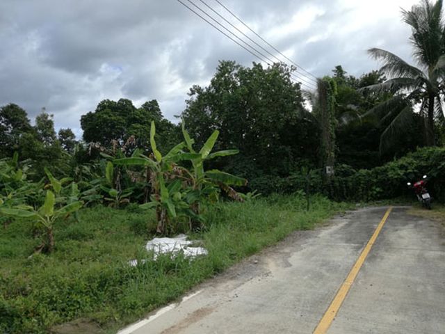 6A40174 ให้เช่าที่ดินเปล่า เหมาะสำหรับ เช่าทำธุรกิจ พื้นที่ 189 ตรว.