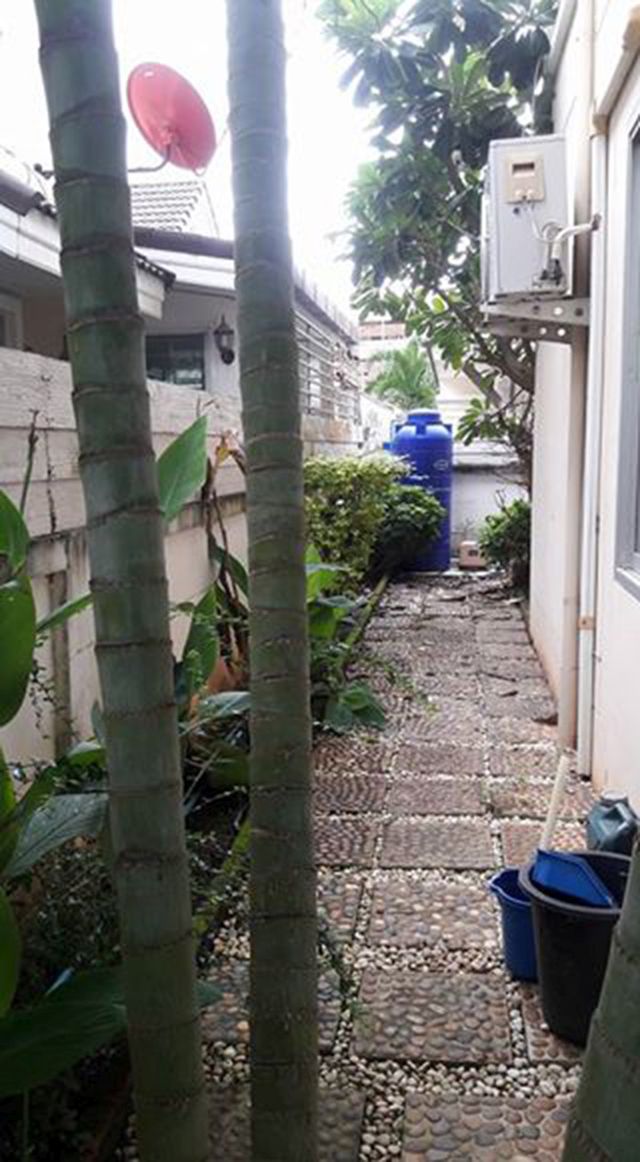 6A100544 ให้เช่าบ้านแฝดชั้นเดียว 2 ห้องนอน 2 ห้องน้ำ พื้นที่ 38 ตรว.