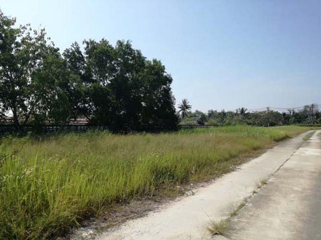 6C90216  ขายที่ดินพร้อมสิ่งปลูกสร้าง 8 ห้องนอน 8 ห้องน้ำ