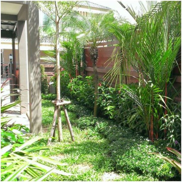 6A110902 ให้เช่าบ้านเดี่ยว 2 ชั้น 3 ห้องนอน 3 ห้องน้ำ พื้นที่ 50 ตรว.