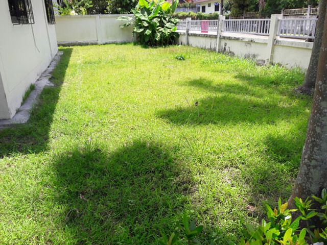 6A120289 ให้เช่าบ้านเดี่ยวชั้นเดียวในโครงการ 3 ห้องนอน 2 ห้องน้ำ