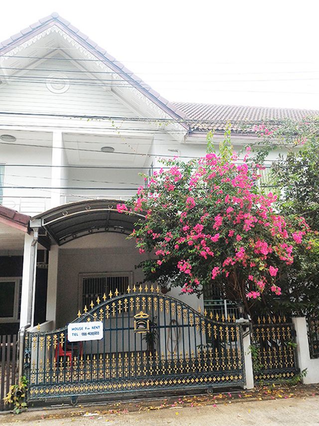 6A90547 ให้เช่าทาวน์เฮ้าส์ 2 ชั้น  2 ห้องนอน 2 ห้องน้ำ  พื้นที่ 31 ตรว.