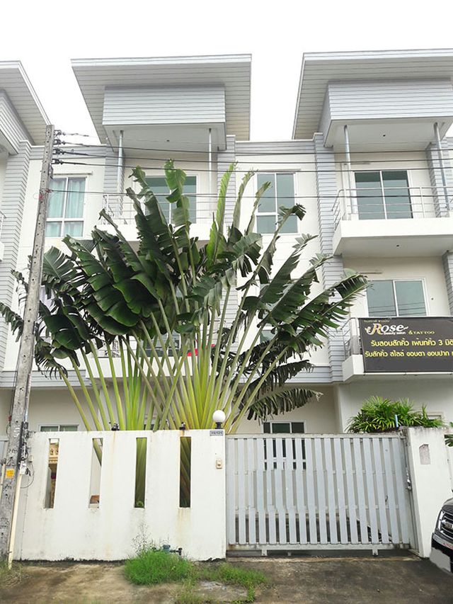 6A110998 ให้เช่าทาวน์เฮ้าส์ 3 ชั้น  4 ห้องนอน 3 ห้องน้ำ  พื้นที่ 30 ตรว.