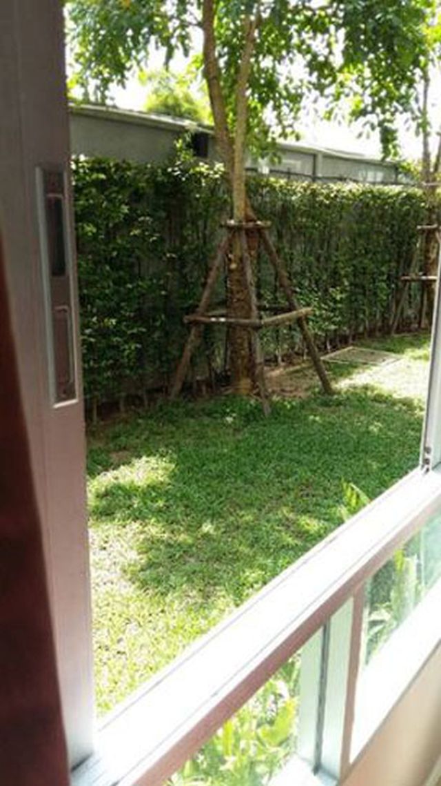 6A111017 ให้เช่าคอนโด D condo กะทู้ป่าตอง  1 ห้องนอน 1 ห้องน้ำ