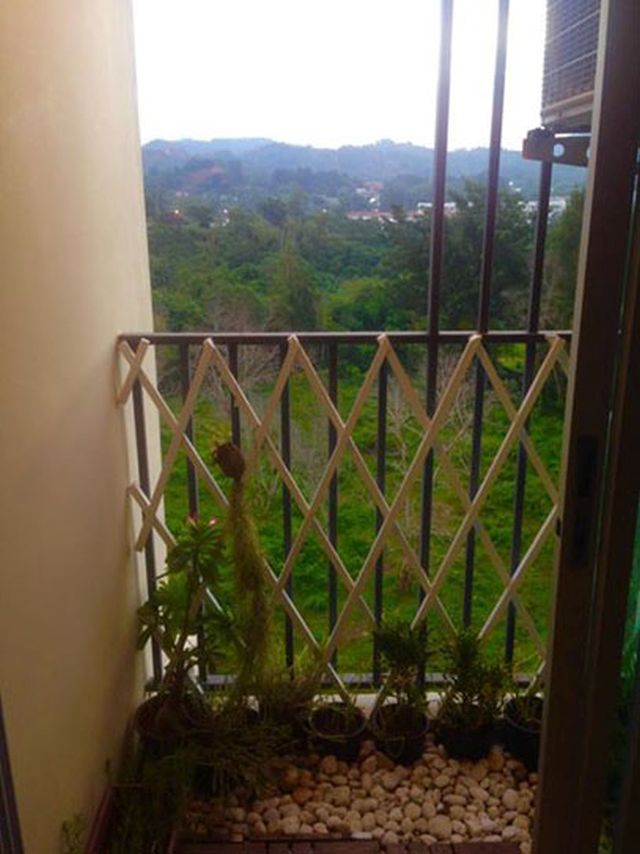 6A111089 ให้เช่าคอนโด Dcondo กะทู้ป่าตอง 1 ห้องนอน 1 ห้องน้ำ