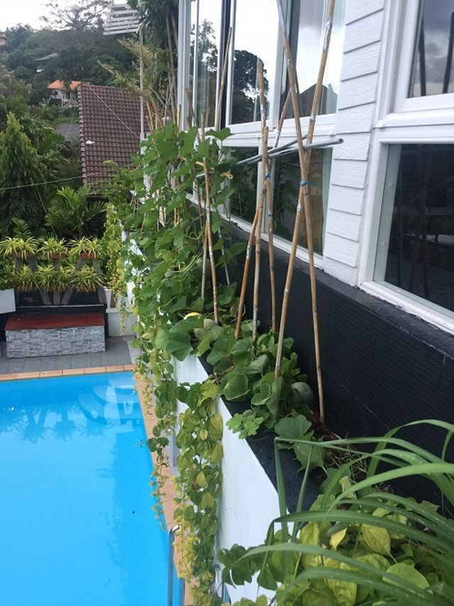 6A80341 ให้เช่าบ้าน Pool Villa 5 ห้องนอน 6 ห้องน้ำ ใกล้โลตัสบ้านไสยวน