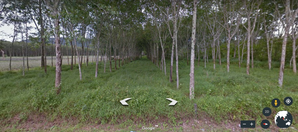 ขายที่ดิน ใกล้โรงแรมธัญญปุระ ต.เทพกษัตรี อ.ถลาง