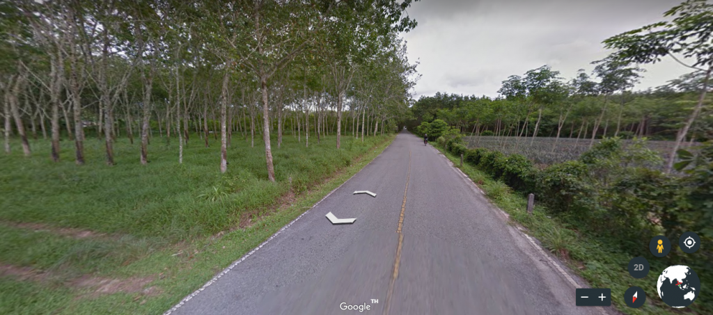 ขายที่ดิน ใกล้โรงแรมธัญญปุระ ต.เทพกษัตรี อ.ถลาง