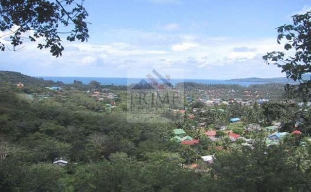 Discounted Land for Sale in Bang Tao Beach Choeng Thale, Thalang