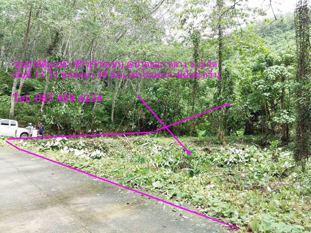 ขาย 30 ล้าน ที่ดินเปล่า 17 ไร่ ซีวิว วิวภูเขา ป่าคลอก ภูเก็ต 087 459 4224