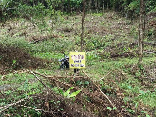 ขาย 30 ล้าน ที่ดินเปล่า 17 ไร่ ซีวิว วิวภูเขา ป่าคลอก ภูเก็ต 087 459 4224