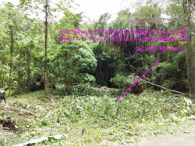 ขาย 30 ล้าน ที่ดินเปล่า 17 ไร่ ซีวิว วิวภูเขา ป่าคลอก ภูเก็ต 087 459 4224
