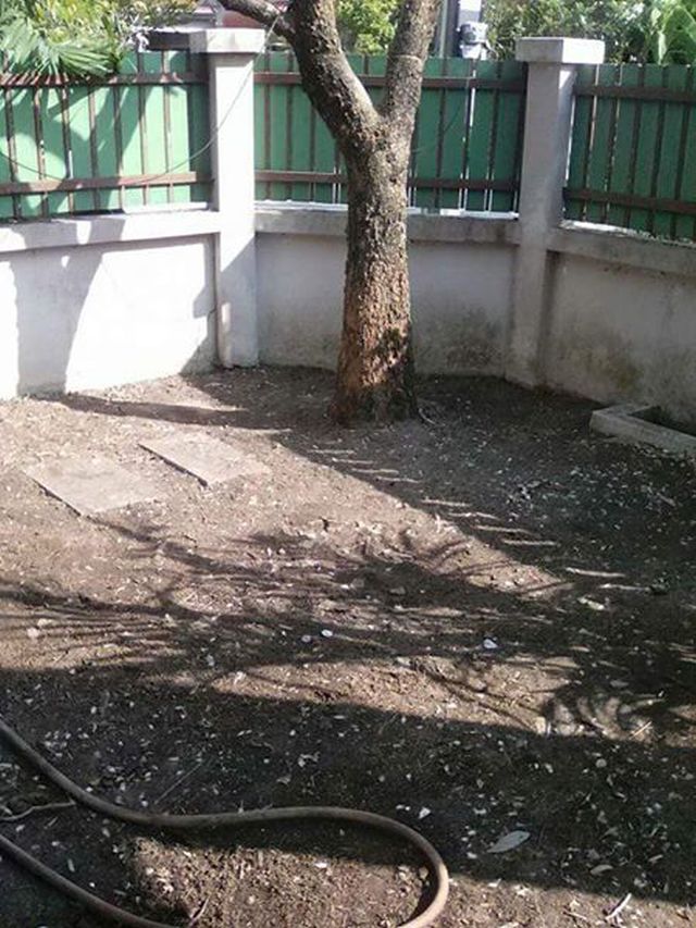 6A101059 ให้เช่าบ้านเดี่ยวชั้นเดียว 3 ห้องนอน 2 ห้องน้ำ พื้นที่ 54 ตรว.