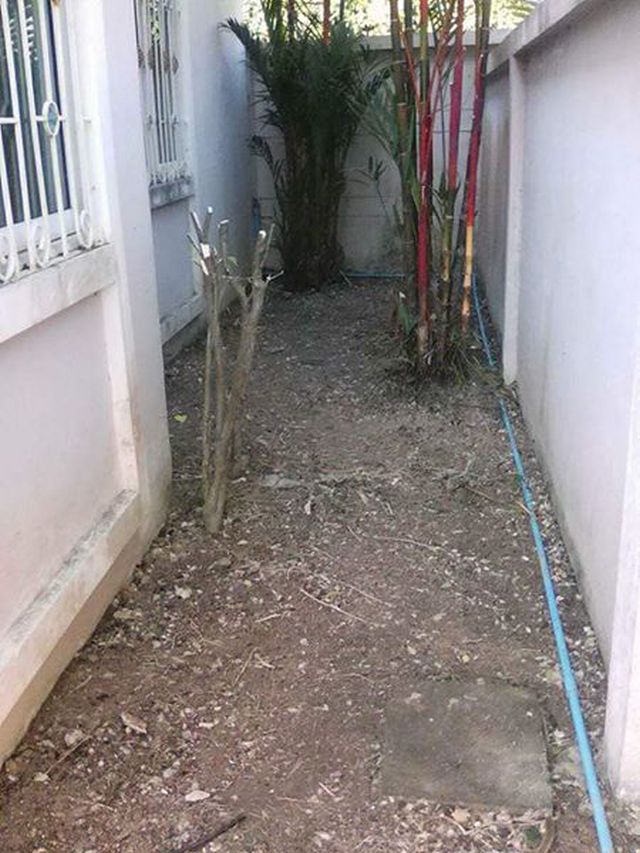 6A101059 ให้เช่าบ้านเดี่ยวชั้นเดียว 3 ห้องนอน 2 ห้องน้ำ พื้นที่ 54 ตรว.