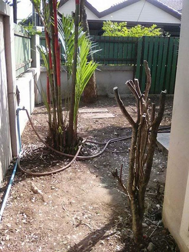 6A101059 ให้เช่าบ้านเดี่ยวชั้นเดียว 3 ห้องนอน 2 ห้องน้ำ พื้นที่ 54 ตรว.