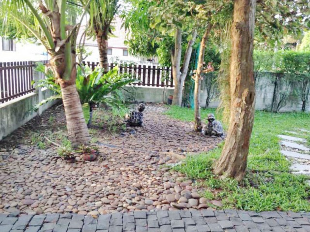 6A40316 ให้เช่าบ้านแฝดชั้นเดียว 2ห้องนอน 1ห้องน้ำ เดือนละ 20,000 บ.