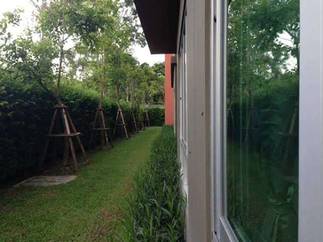 6A111488 ให้เช่าคอนโดมิเนียม Dcondo kathu patong มี 1 ห้องนอน 1 ห้องน้ำ