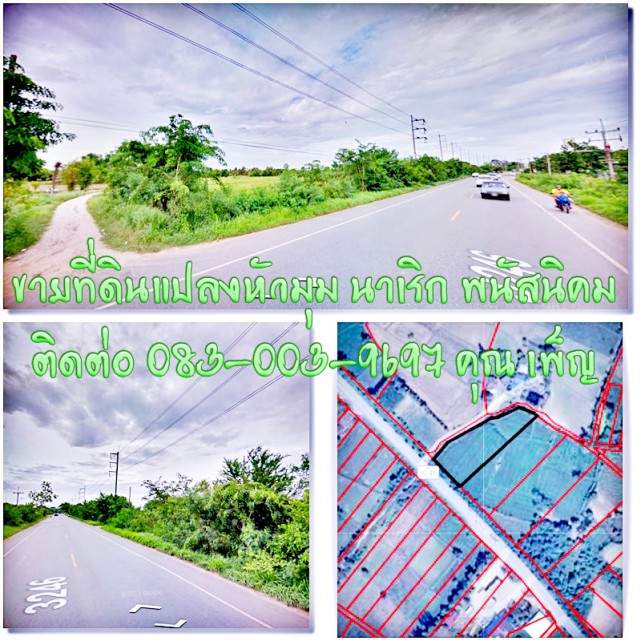 ขายที่ดินแปลงหัวมุม ที่ดินติดถนนทางหลวงพนัส-เกาะโพธิ์ ไม่มีประวัตินํ้าท่วม