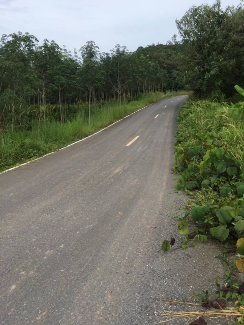 ที่ดินไร่ละ 3 ล้าน ภูเก็ต