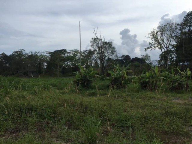 ที่ดินไร่ละ 3 ล้าน ภูเก็ต