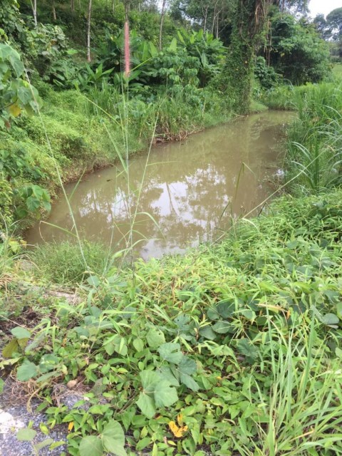 ที่ดินไร่ละ 3 ล้าน ภูเก็ต