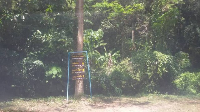 ที่ดิน 9 ไร่ ใกล้ทะเลอ่าวยนต์ ภูเก็ต