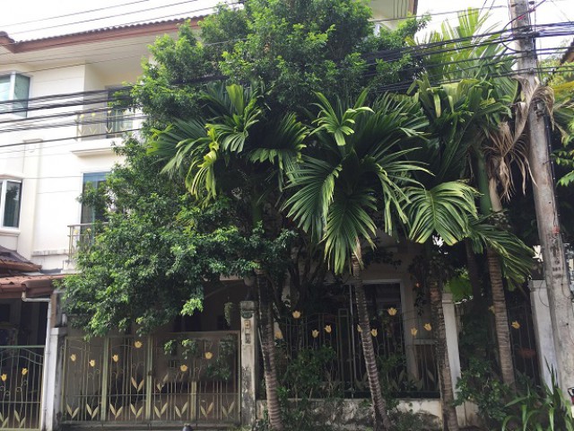 6A101257 ให้เช่าทาวน์เฮ้าส์ 3 ชั้น 3 ห้องนอน 3 ห้องน้ำ พื้นที่ 30 ตรว.