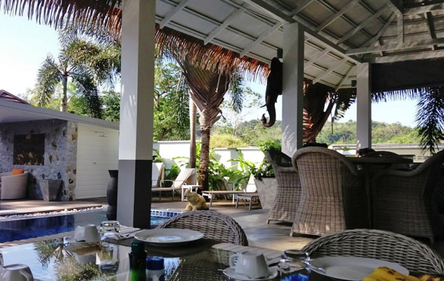 6A50177 ให้เช่าบ้านเดี่ยว 2 ชั้น พื้นที่ 200 ตรว. พร้อมสระว่ายน้ำส่วนตัว.