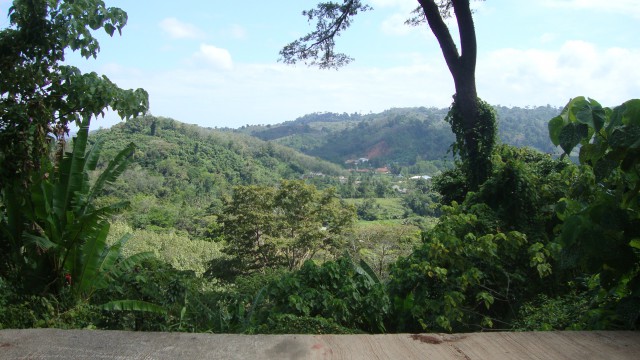ขายที่ดินสวย ภูเก็ต ต.สาคู อ.ถลาง อยู่บนเนินเขา มองเห็นวิวได้โดยรอบ