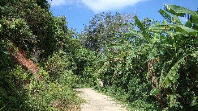 ขายที่ดินสวย ภูเก็ต ต.สาคู อ.ถลาง อยู่บนเนินเขา มองเห็นวิวได้โดยรอบ