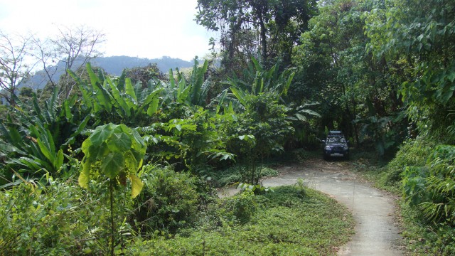 ขายที่ดินสวย ภูเก็ต ต.สาคู อ.ถลาง อยู่บนเนินเขา มองเห็นวิวได้โดยรอบ