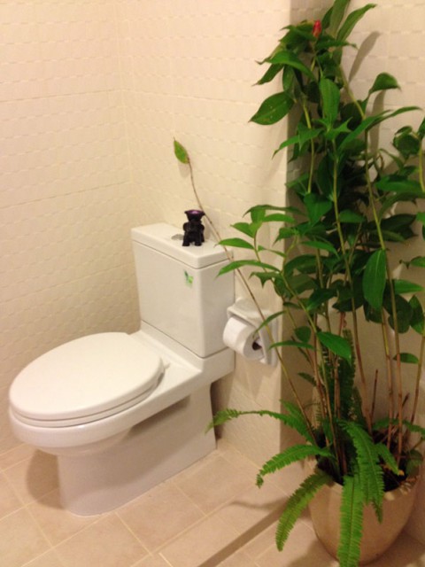 6A40388ให้เช่าคอนโดย่านเศรษฐกิจ วิวฝั่งออกวิลล่ามาเก็ต พื้นที่ 28 ตรม.