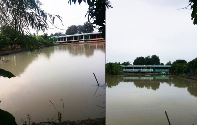 ขายบ้าน พร้อมที่ดิน และสวนผลไม้ เนื้อที่4 ไร่ ต.ตลิ่งชัน เมืองสุพรรณบุรี