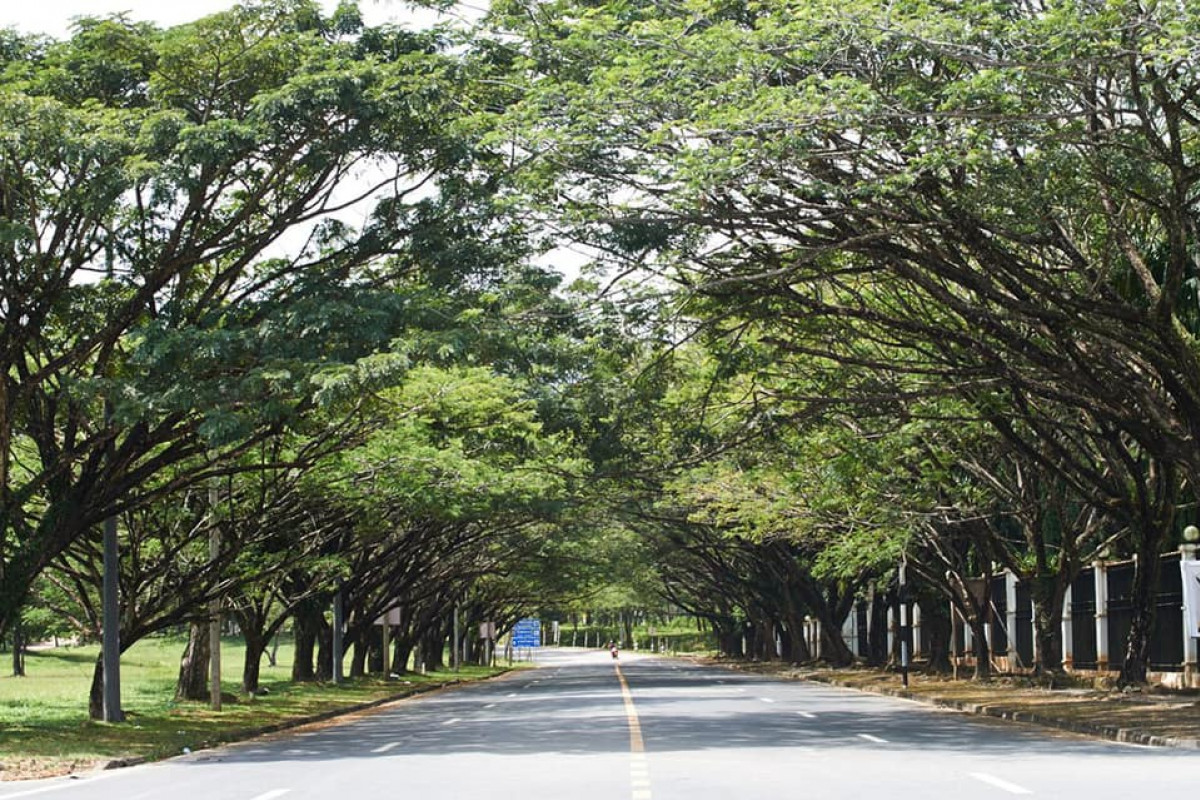 Burasiri Private House for Sale ขายบ้านบุราสิริ เกาะแก้ว 6.49 mb